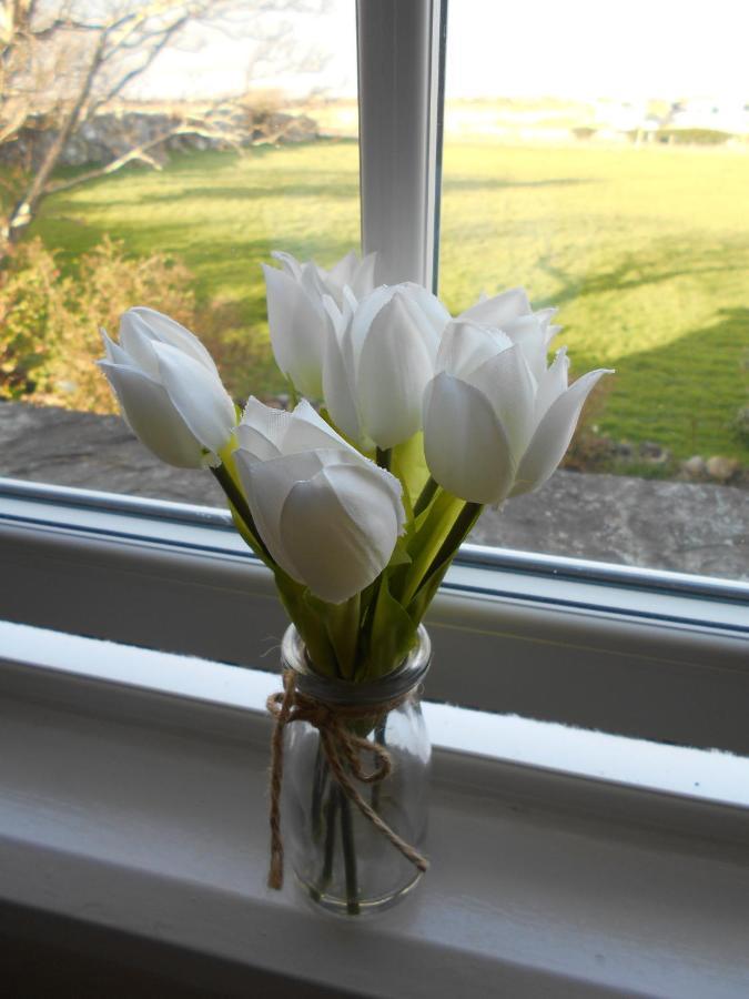 Hendre Clochydd Hall Llanaber Екстер'єр фото